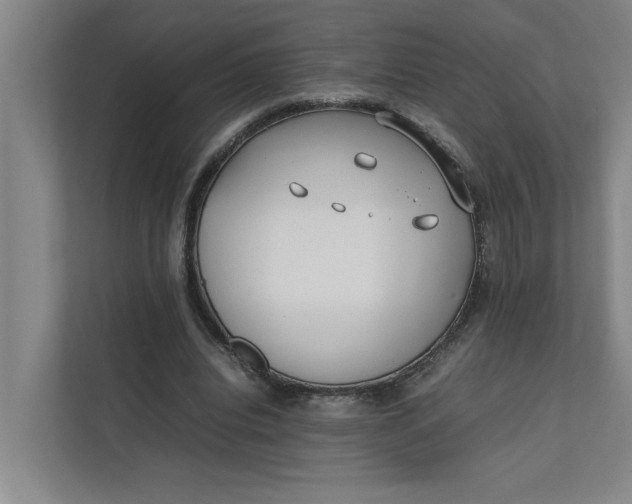 X0000112410440200909041359