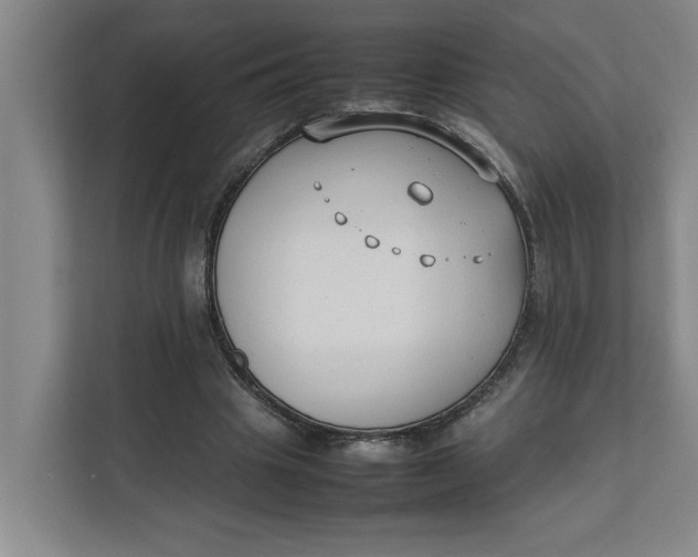 X0000112410441200909041359