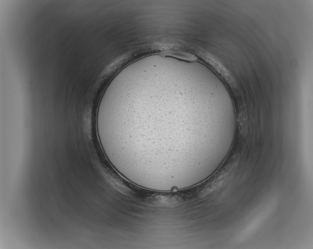 X0000112410442200909041359