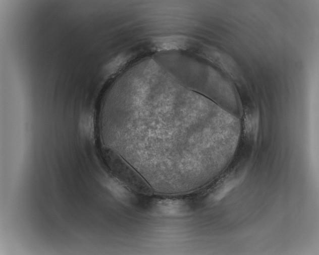 X0000112410444200909041359