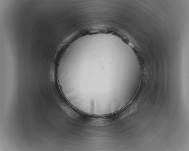 X0000112410446200909041359