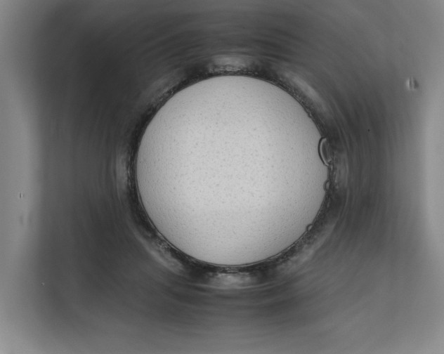 X0000112410455200909041359