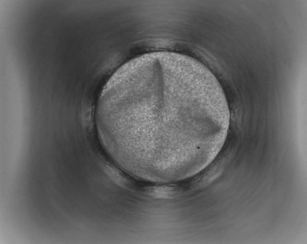 X0000112410462200909041400