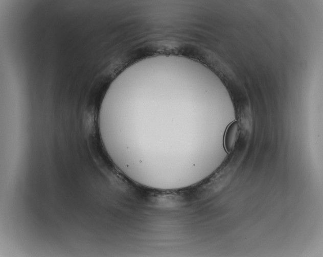 X0000112410468200909041400