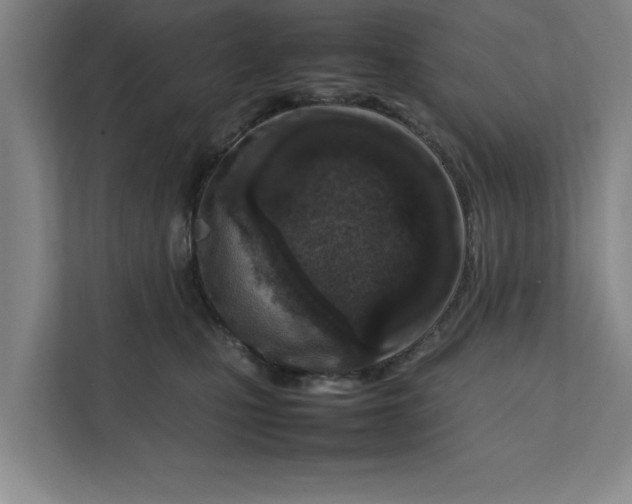 X0000112410471200909041400