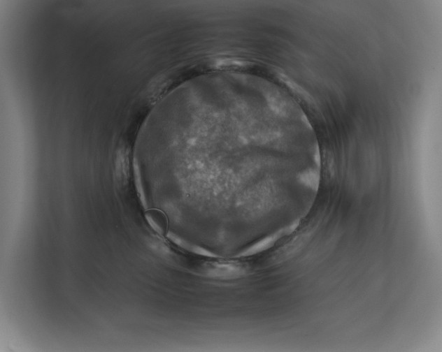 X0000112410475200909041400