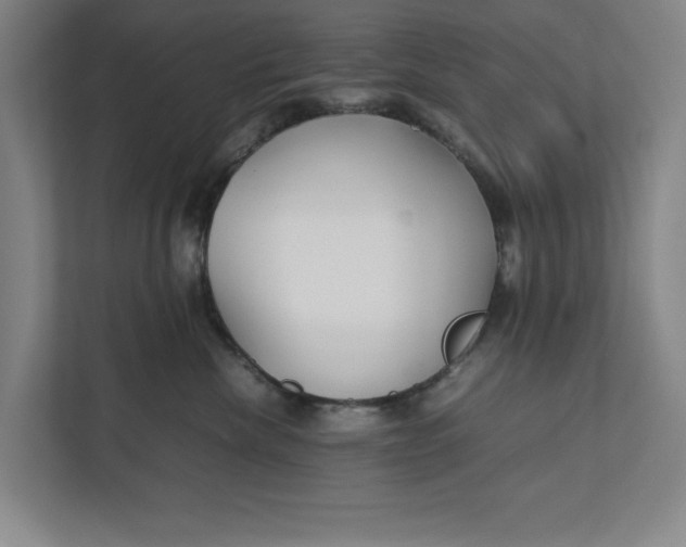 X0000112410476200909041400