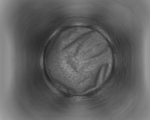 X0000112410482200909041359