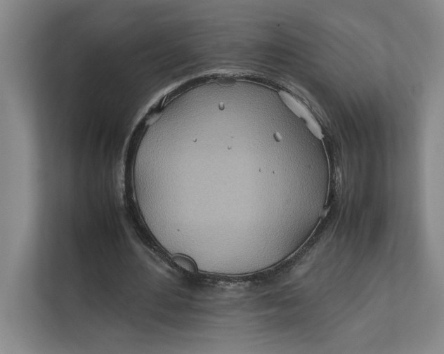 X0000112410484200909041359