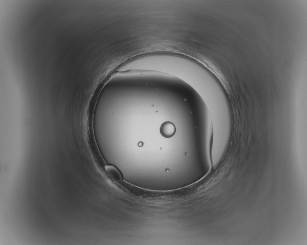 X0000112410485200909041359