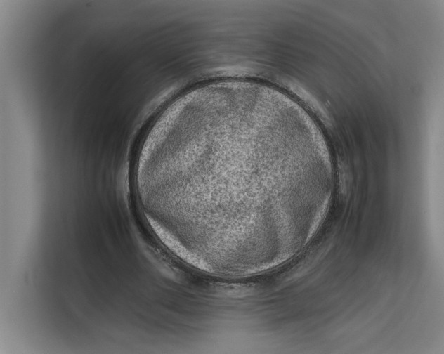 X0000112410486200909041359