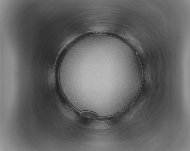 X0000112410488200909041359