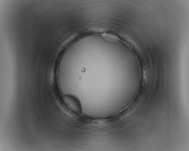 X0000112410492200909041359