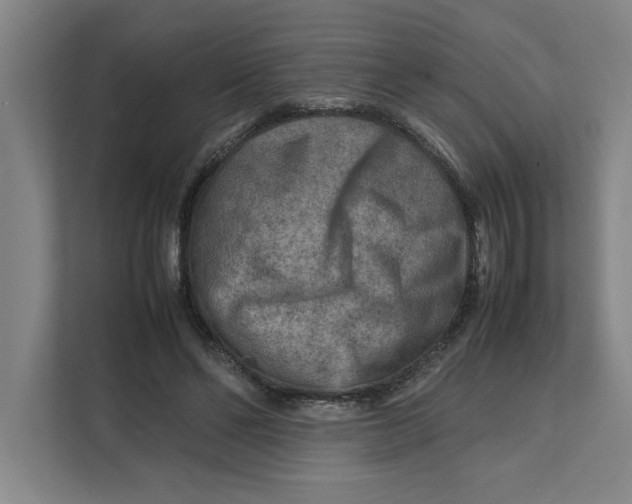 X0000112410494200909041359