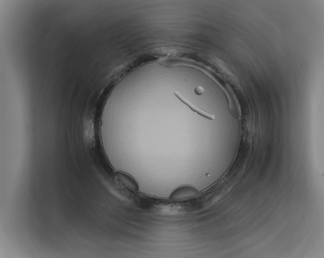 X0000112410500200909041359