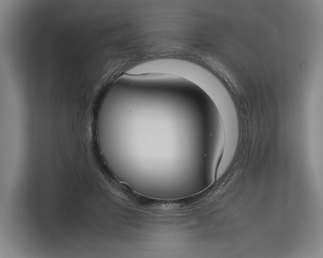 X0000112410501200909041359