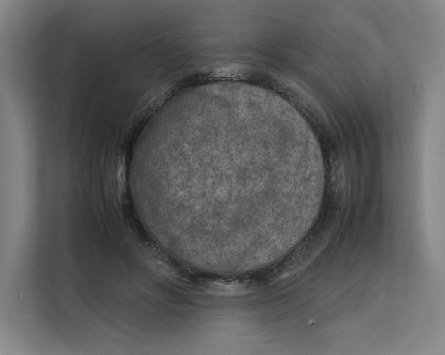 X0000112410502200909041359