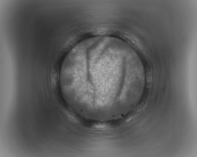 X0000112410503200909041359