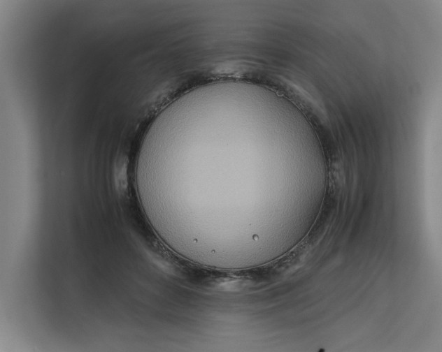 X0000112410504200909041359