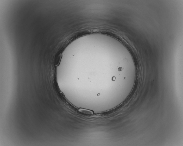 X0000112410505200909041359