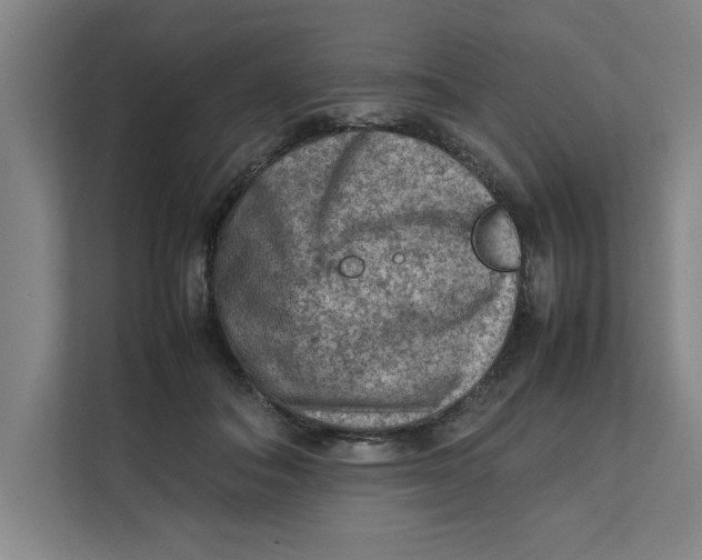 X0000112410506200909041359