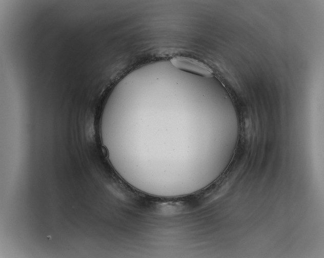 X0000112410508200909041359