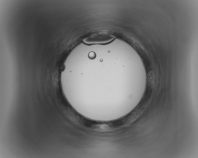 X0000112410509200909041359