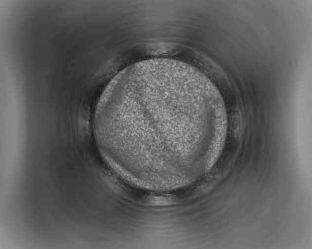 X0000112410510200909041359