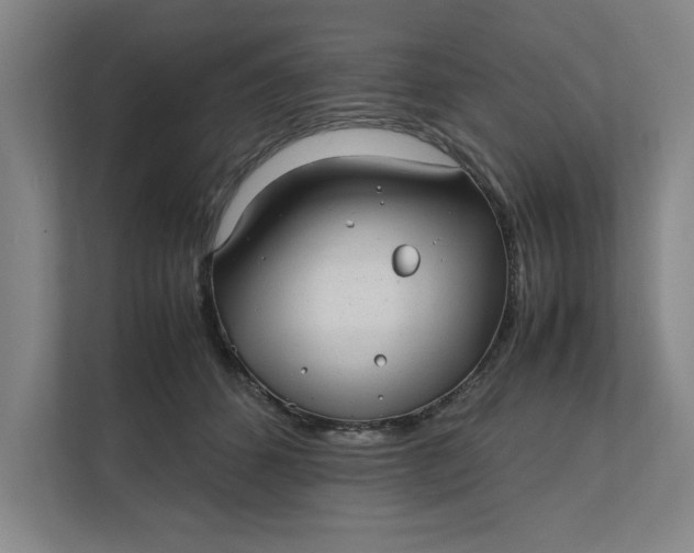 X0000112410512200909041359