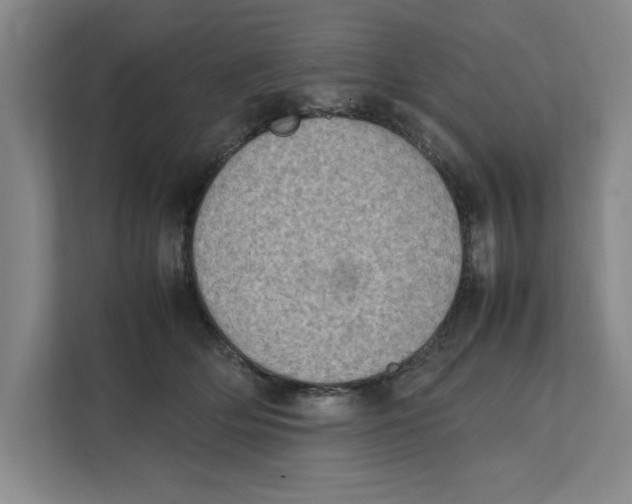 X0000112410514200909041359