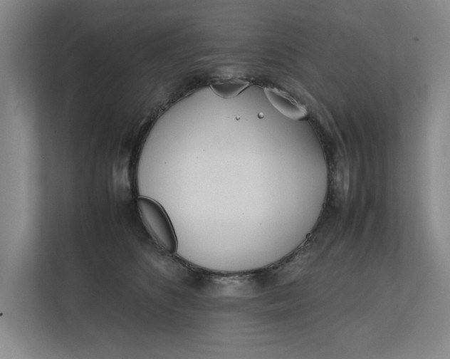 X0000112410516200909041359