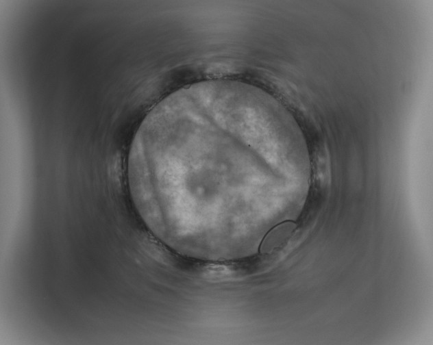 X0000112410519200909041359