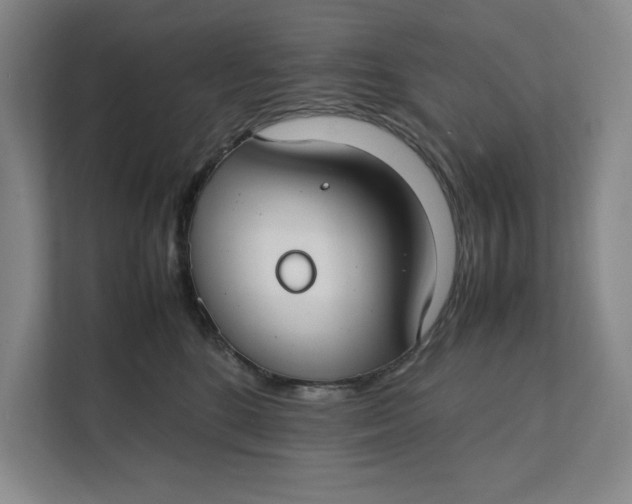 X0000112410520200909041359