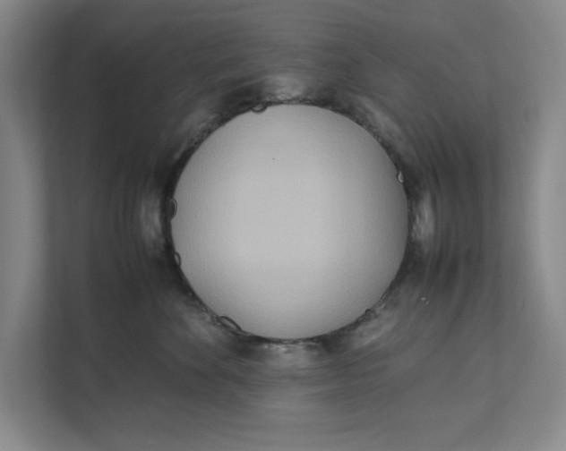 X0000112410524200909041359