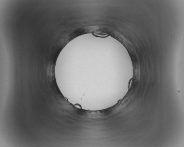 X0000112410525200909041359