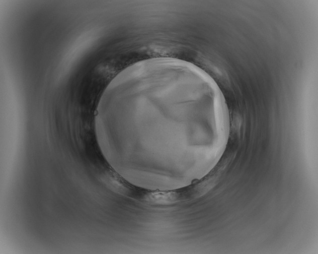 X0000112410526200909041359