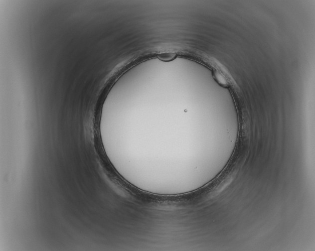 X0000112410530200909041358