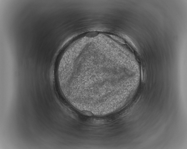 X0000112410531200909041358