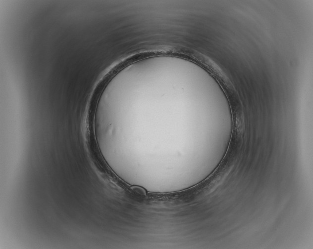 X0000112410532200909041358