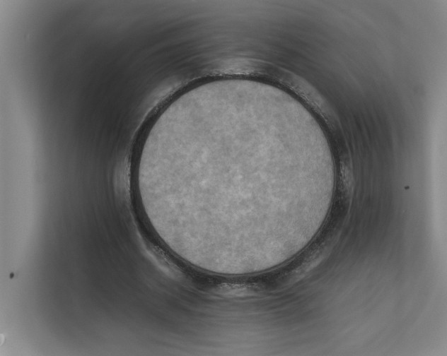 X0000112410534200909041358