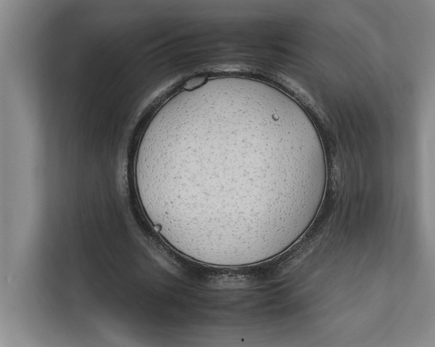 X0000112410535200909041358