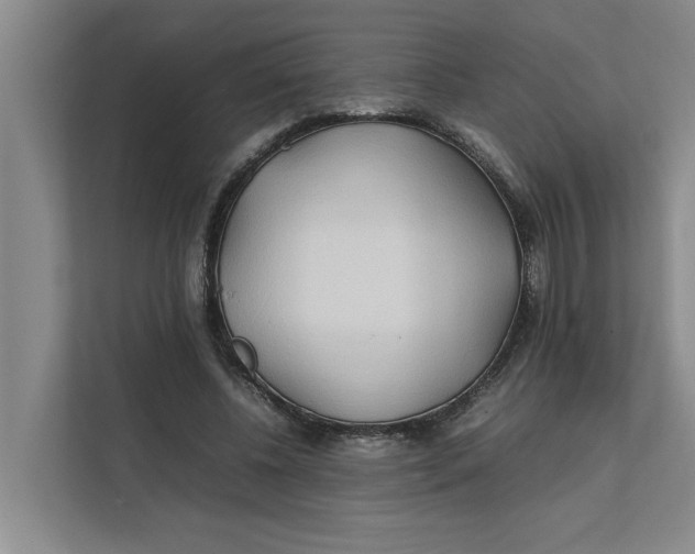 X0000112410540200909041358