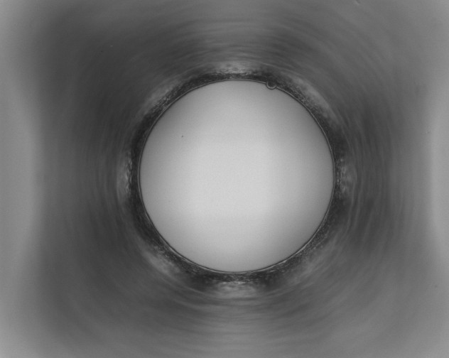 X0000112410544200909041358