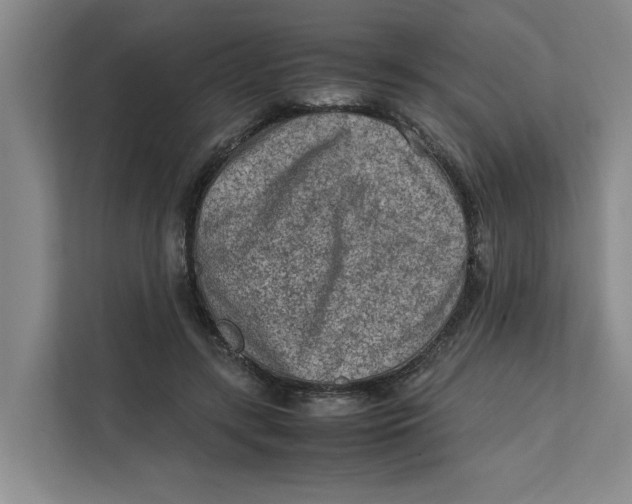 X0000112410547200909041358