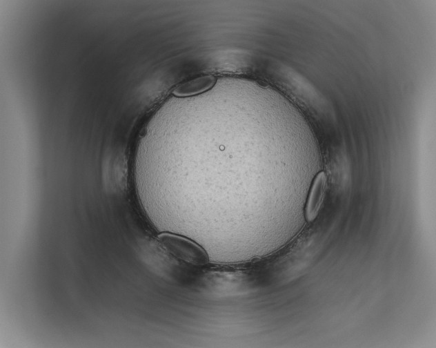 X0000112410552200909041358