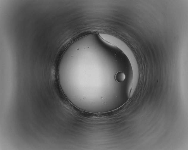 X0000112410556200909041358