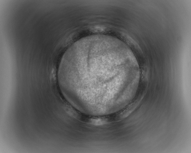 X0000112410561200909041358