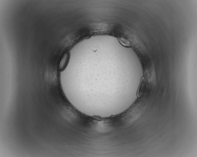 X0000112410564200909041358