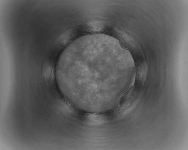 X0000112410568200909041358