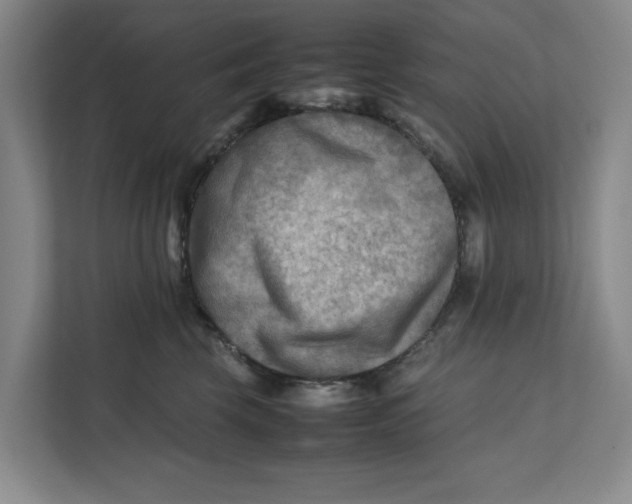 X0000112410569200909041358